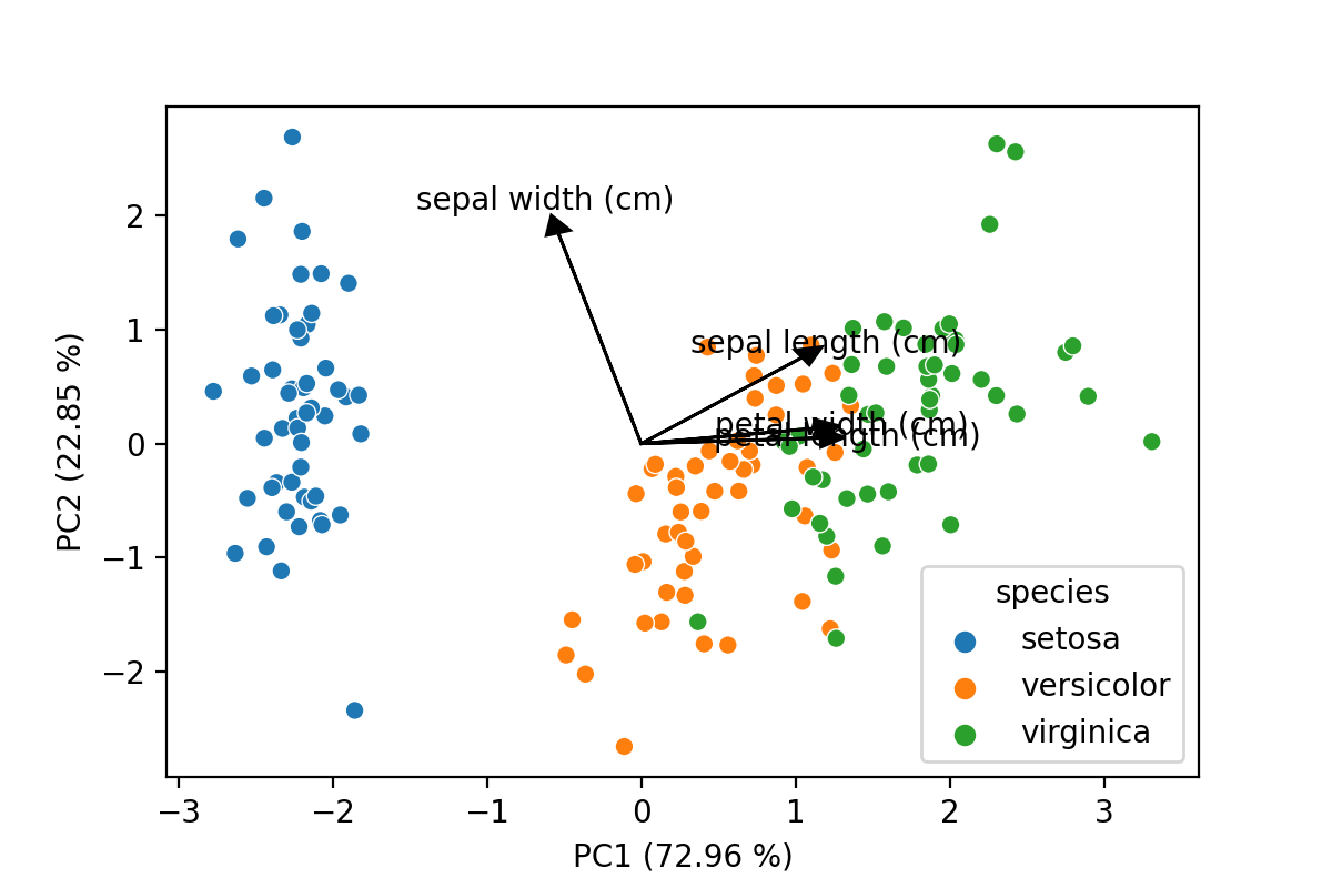 PCA Plots with Loadings in Python